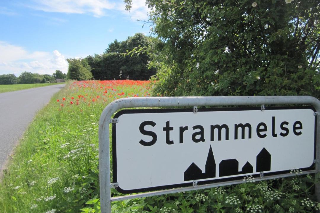 Photo of Buildings in Svendborg