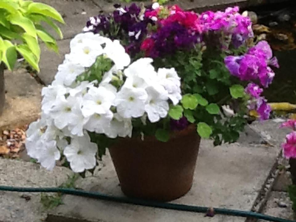 Photo of Others in Hamilton