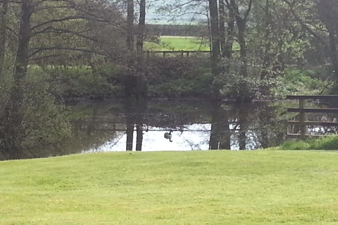 Photo of Others in Low Catton