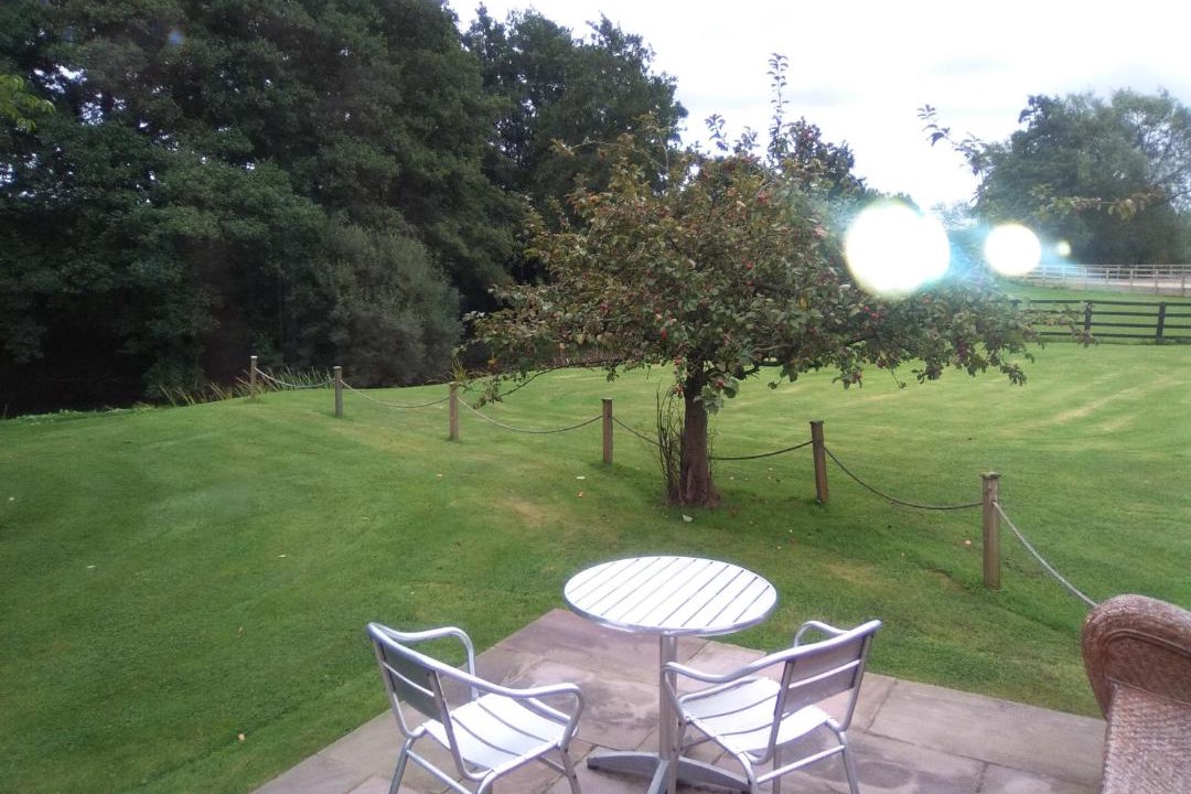 Photo of Others in Low Catton