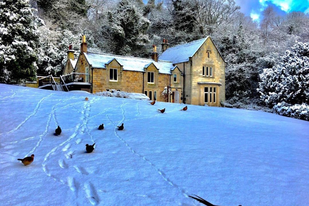 Photo of Others in Sandsend