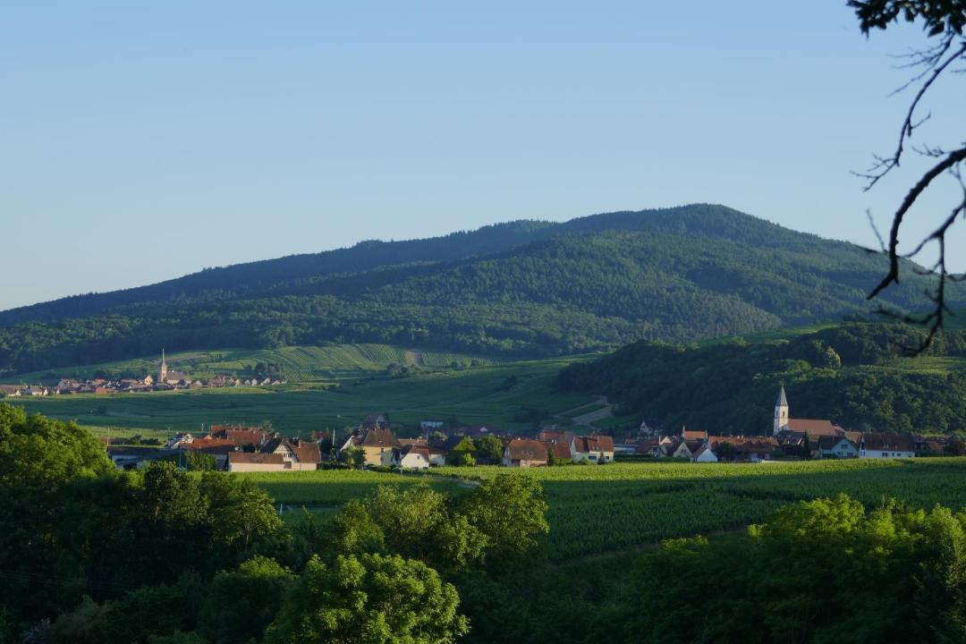 Photo of Others in Itterswiller