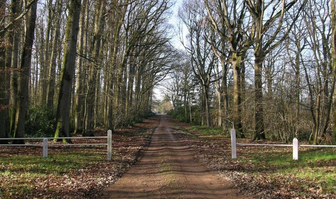 Photo of Others in Souvigne-sur-Sarthe