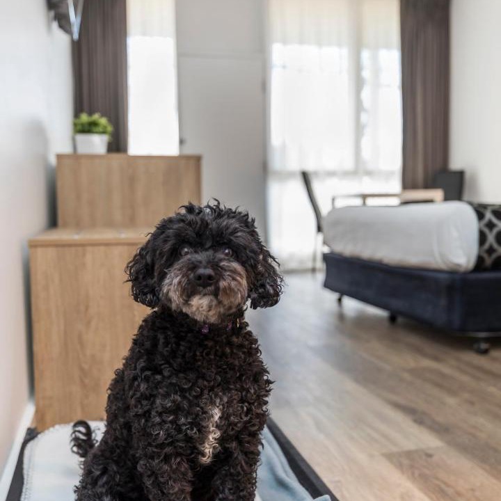 Photo of Others in Murray Bridge