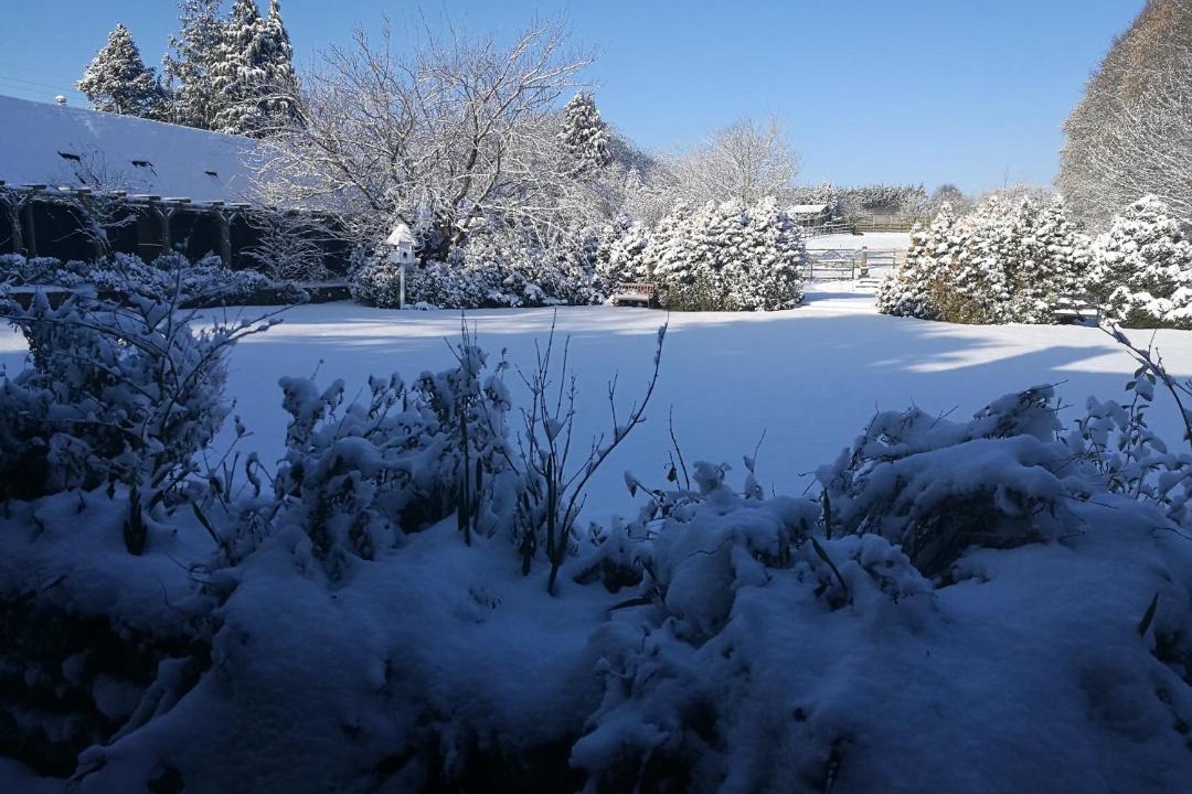 Photo of Outdoor in Stuppington