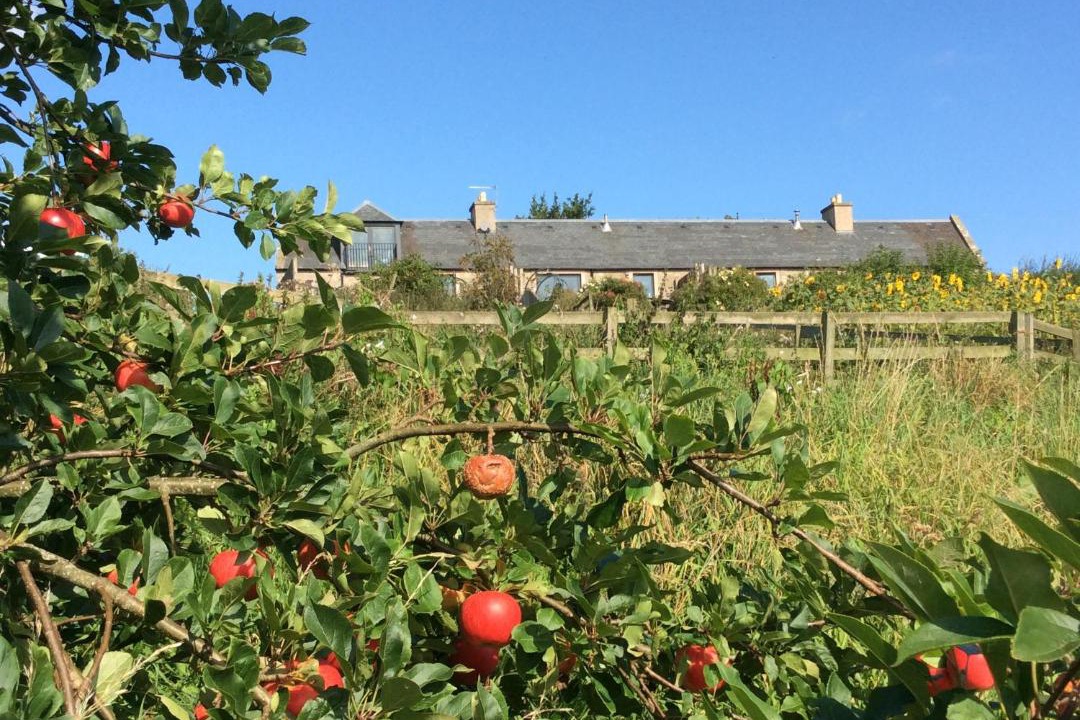 Photo of Others in Kelso