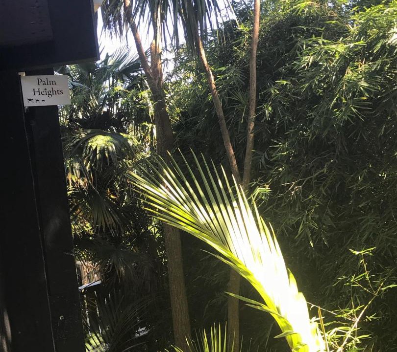 Photo of Others in Palm Beach