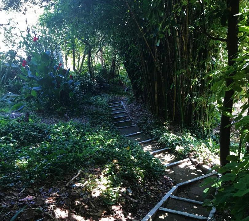 Photo of Others in Palm Beach