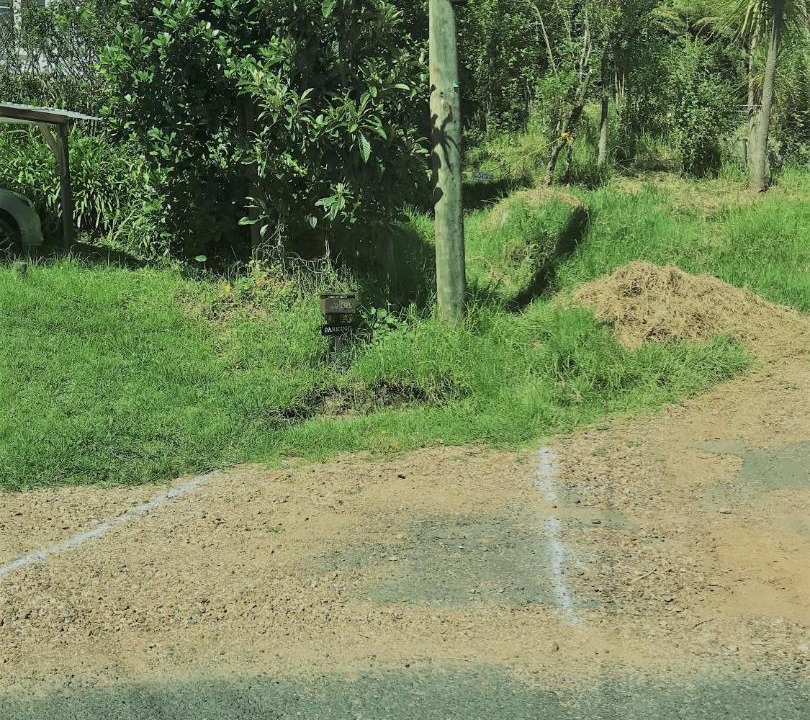 Photo of Others in Palm Beach