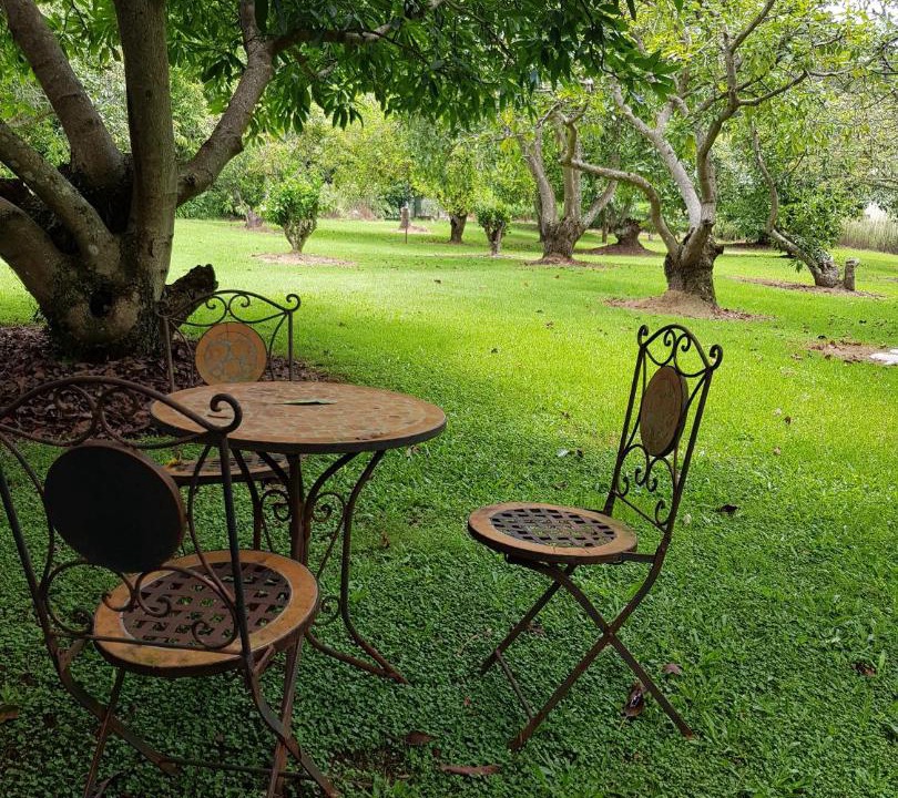 Photo of Others in North Tamborine