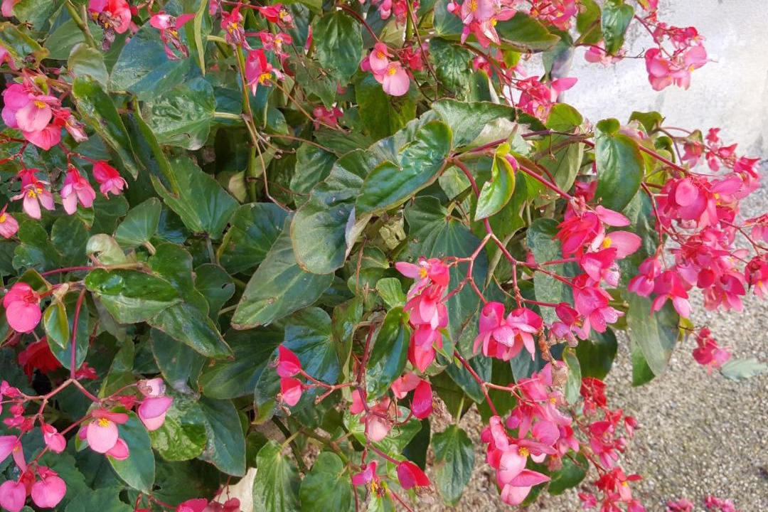 Photo of Others in Montagnac-Montpezat