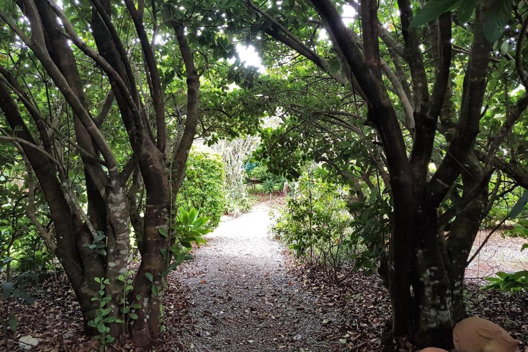 Photo of Outdoor in North Tamborine