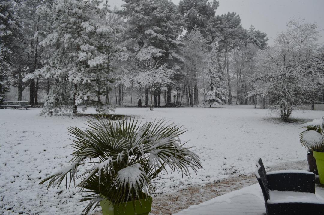 Photo of Others in Montfort-le-Gesnois