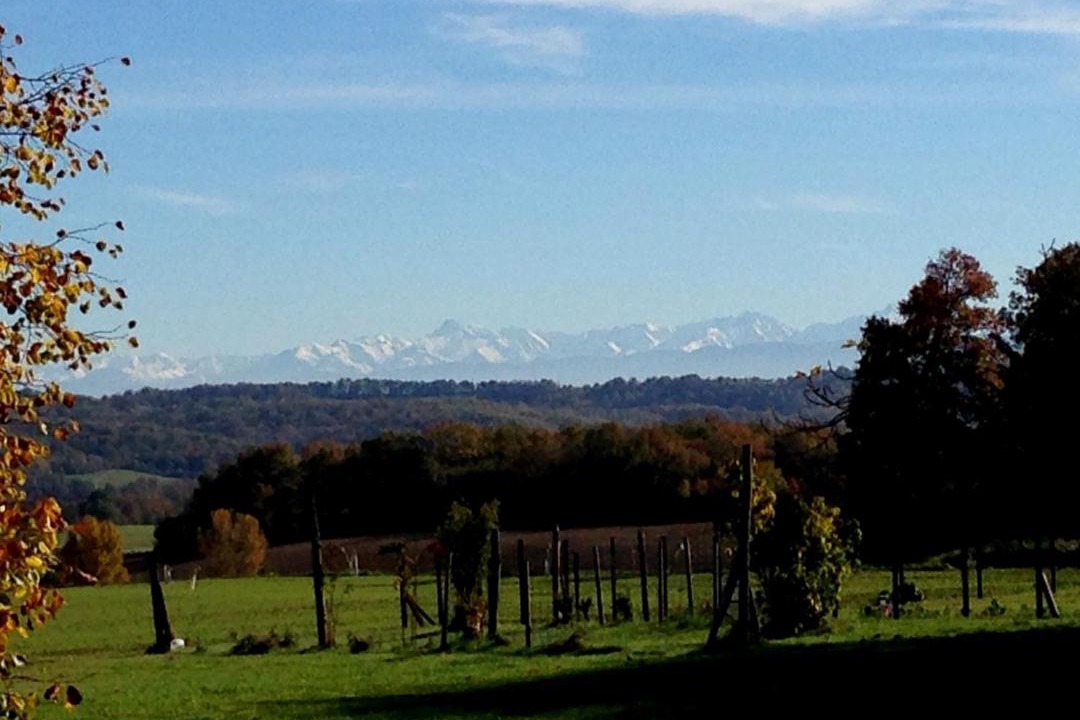 Photo of Outdoor in Esclassan-Labastide