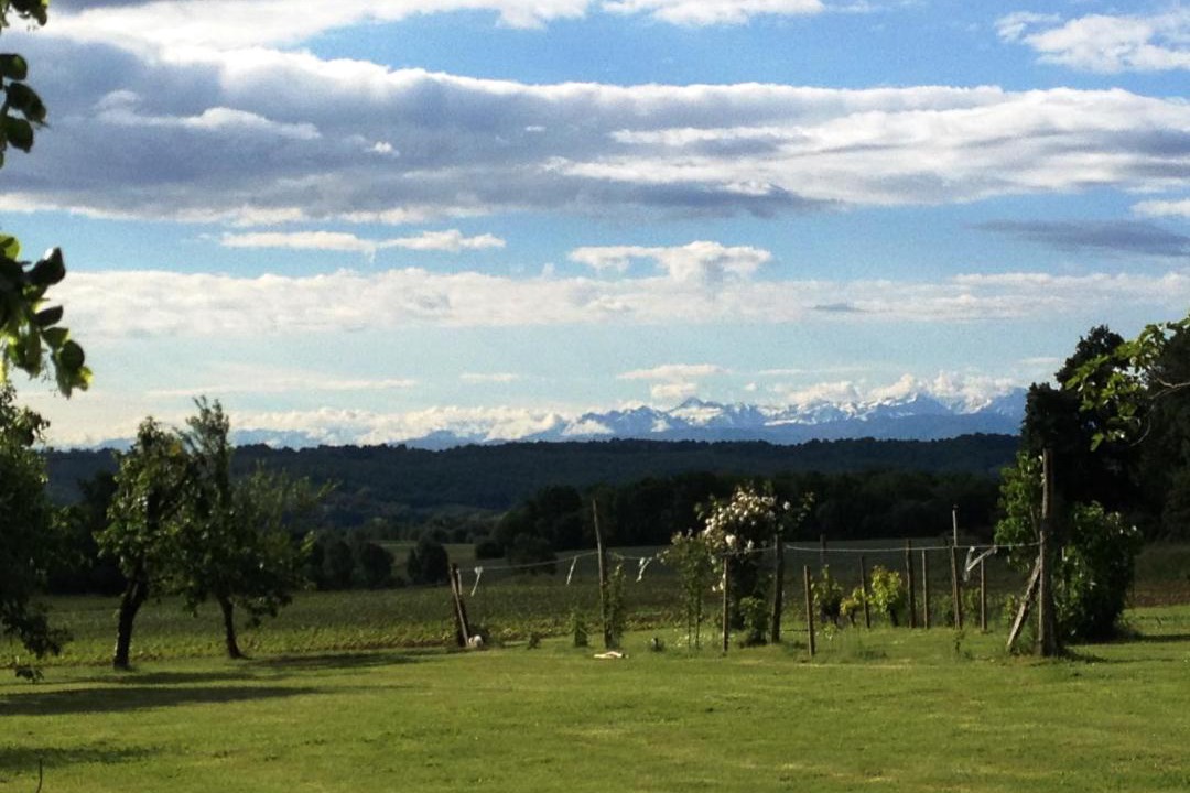 Photo of Outdoor in Esclassan-Labastide