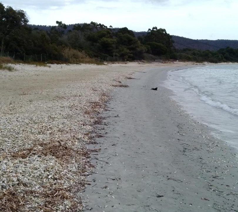 Photo of Others in Cabasson