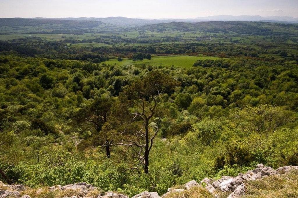 Photo of Outdoor in Underbarrow