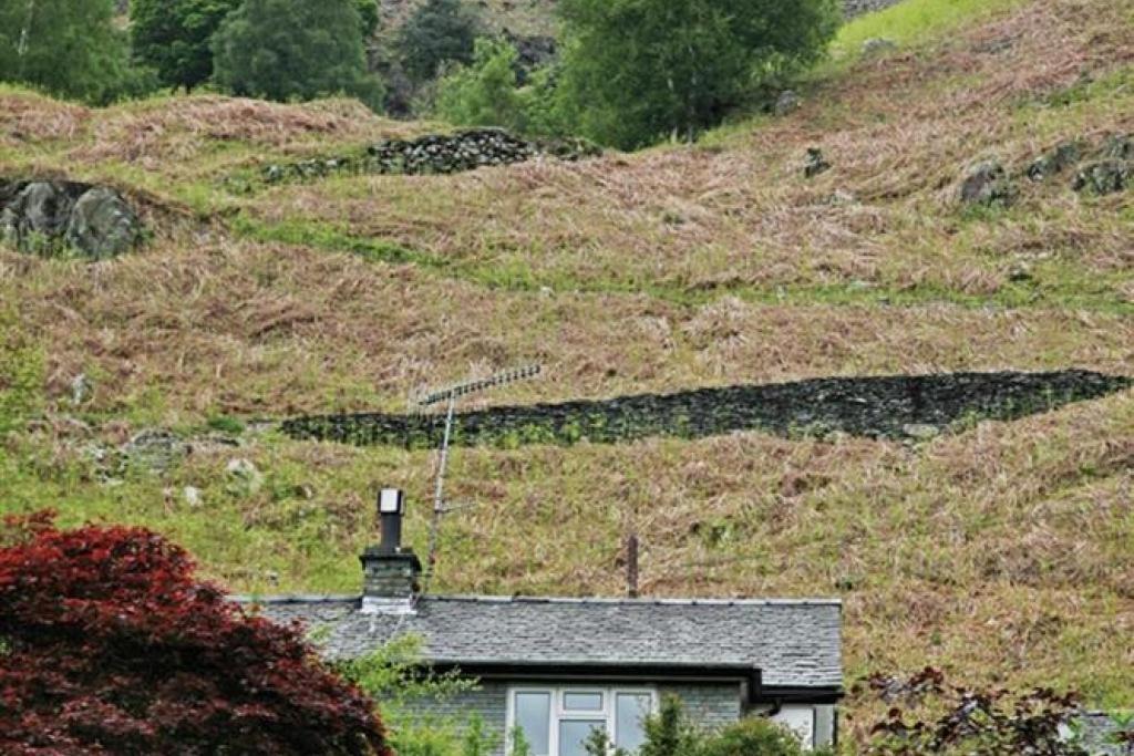 Photo of Others in Chapel Stile
