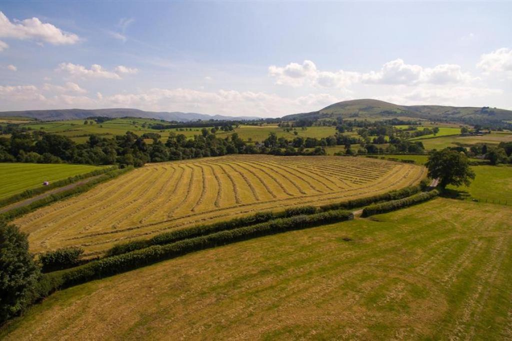 Photo of Others in Hutton