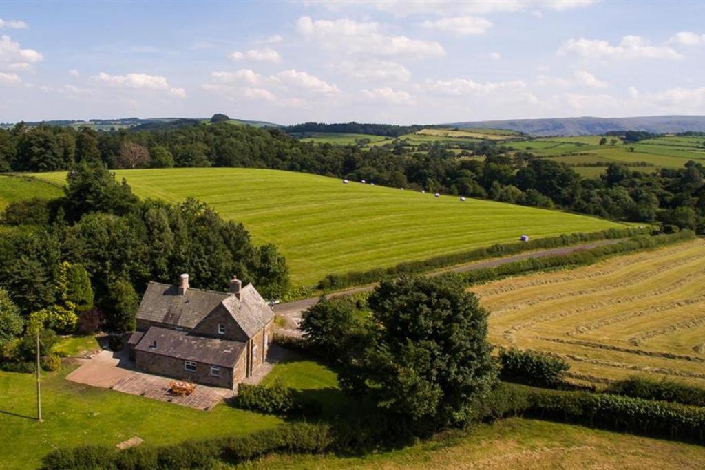 Photo of Others in Hutton