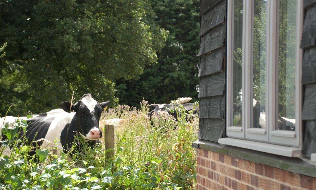 Photo of Others in Winchester