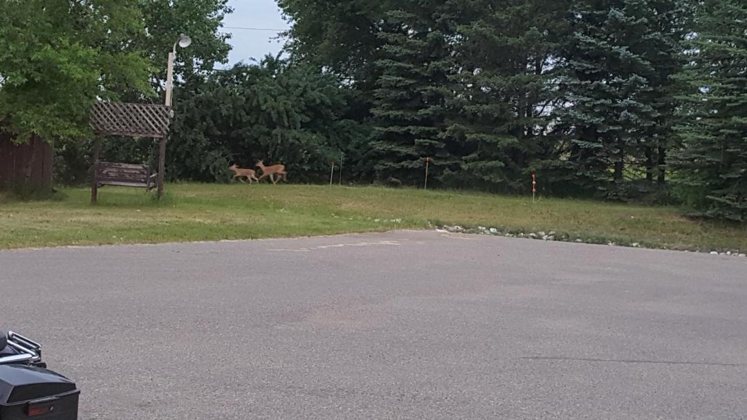 Photo of Others in Brandon