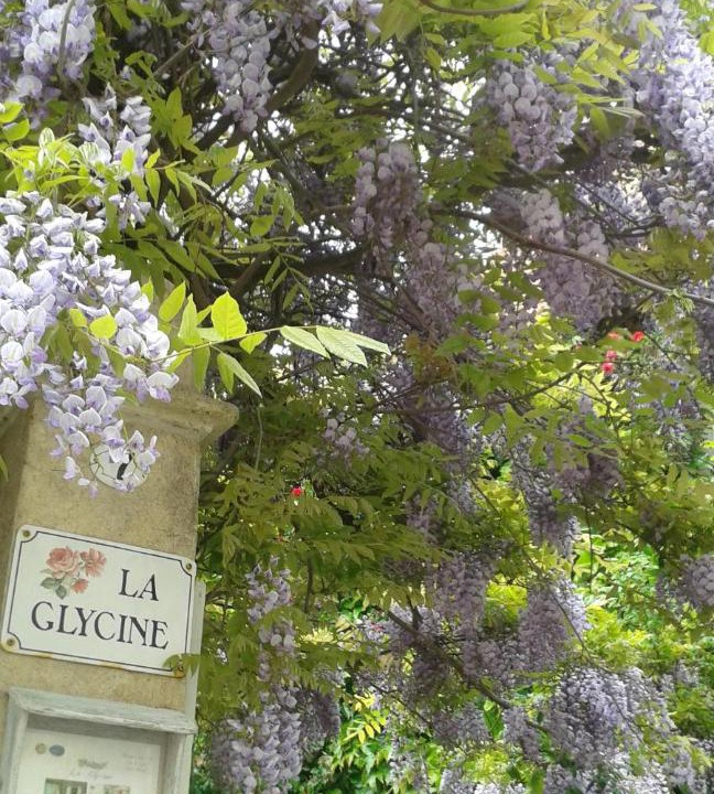 Photo of Others in Asnelles