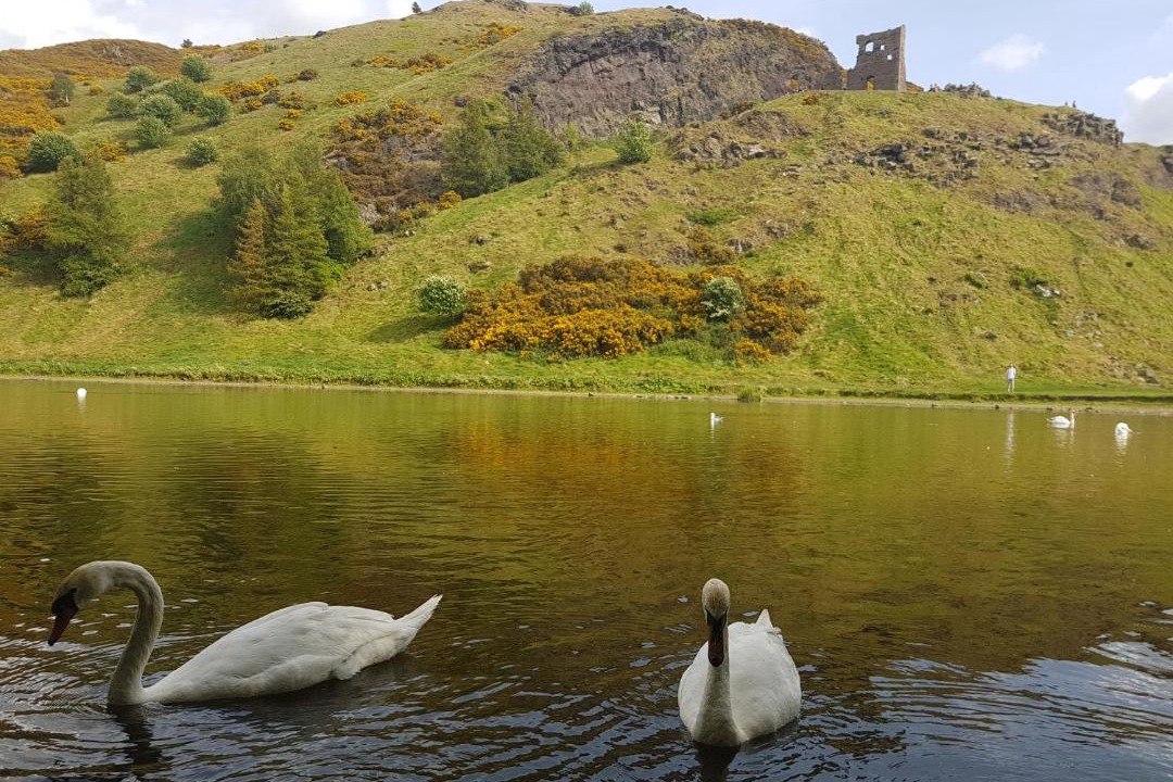 Photo of Others in Gifford