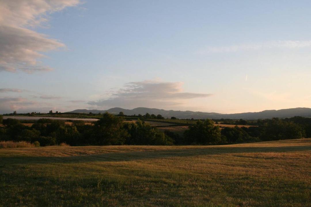 Photo of Others in Chaponost