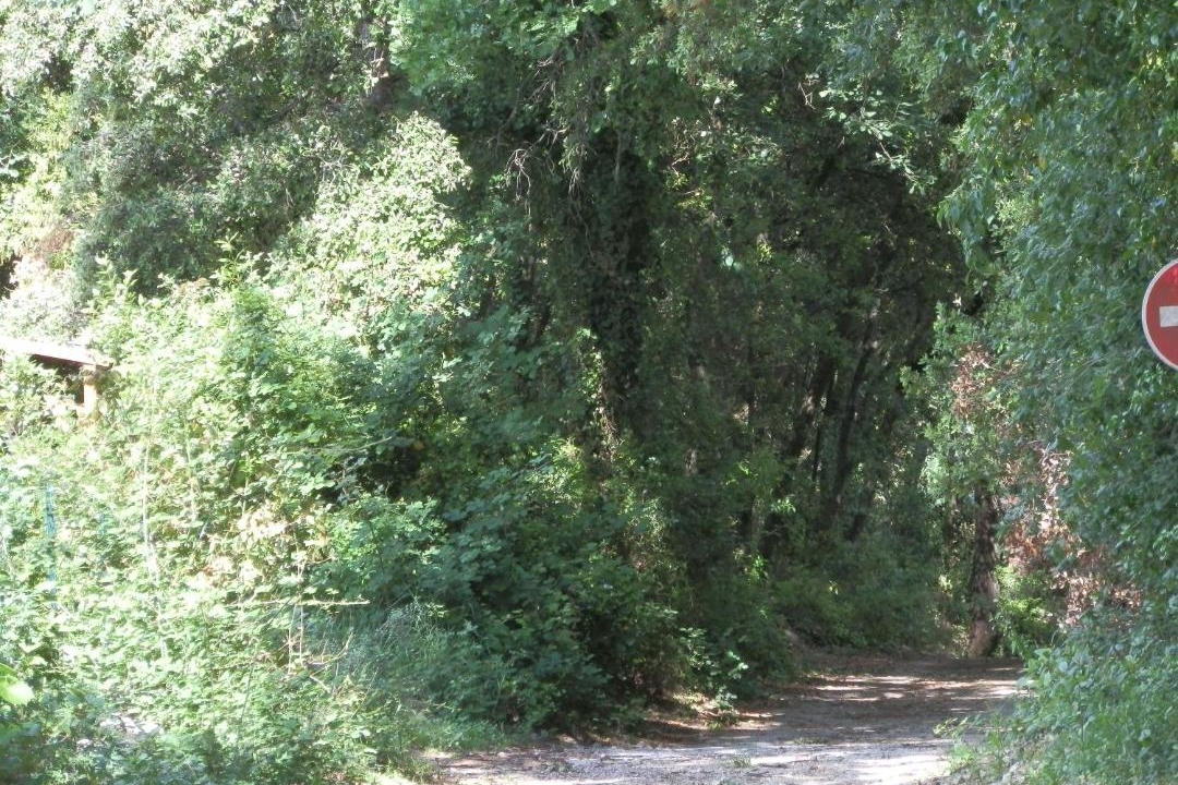 Photo of Others in Salinelles