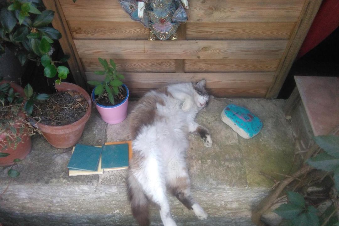 Photo of Others in Vallon-Pont-d'Arc