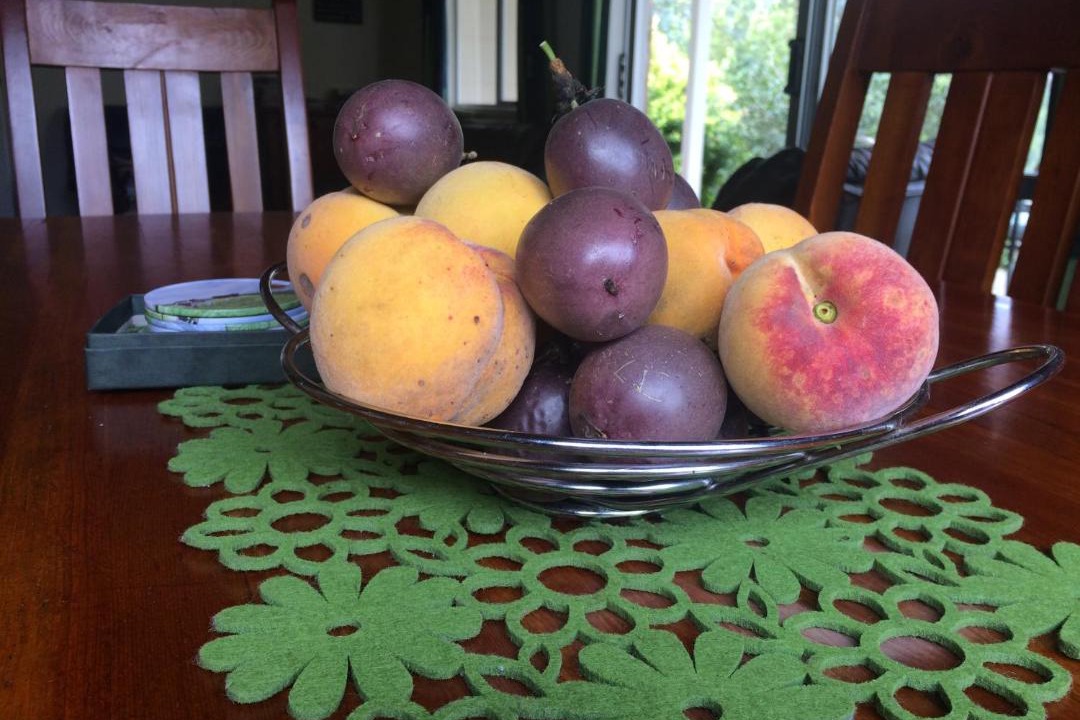 Photo of Others in Tuai