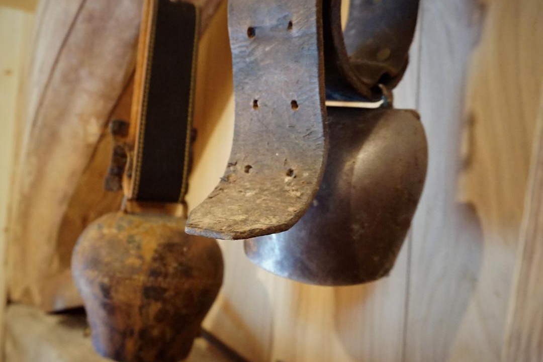 Photo of Others in Thoiry