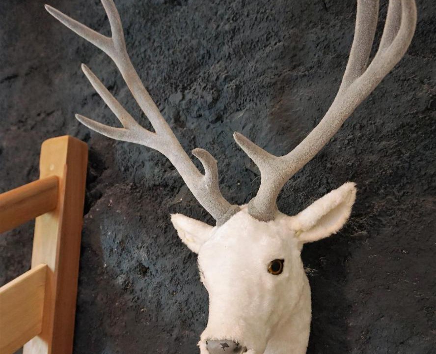 Photo of Others in Thoiry