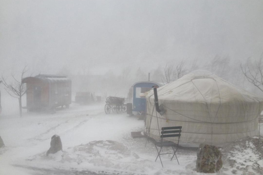 Photo of Others in Oberhasli