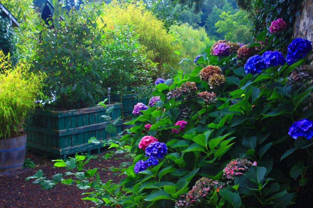 Photo of Others in Livaie