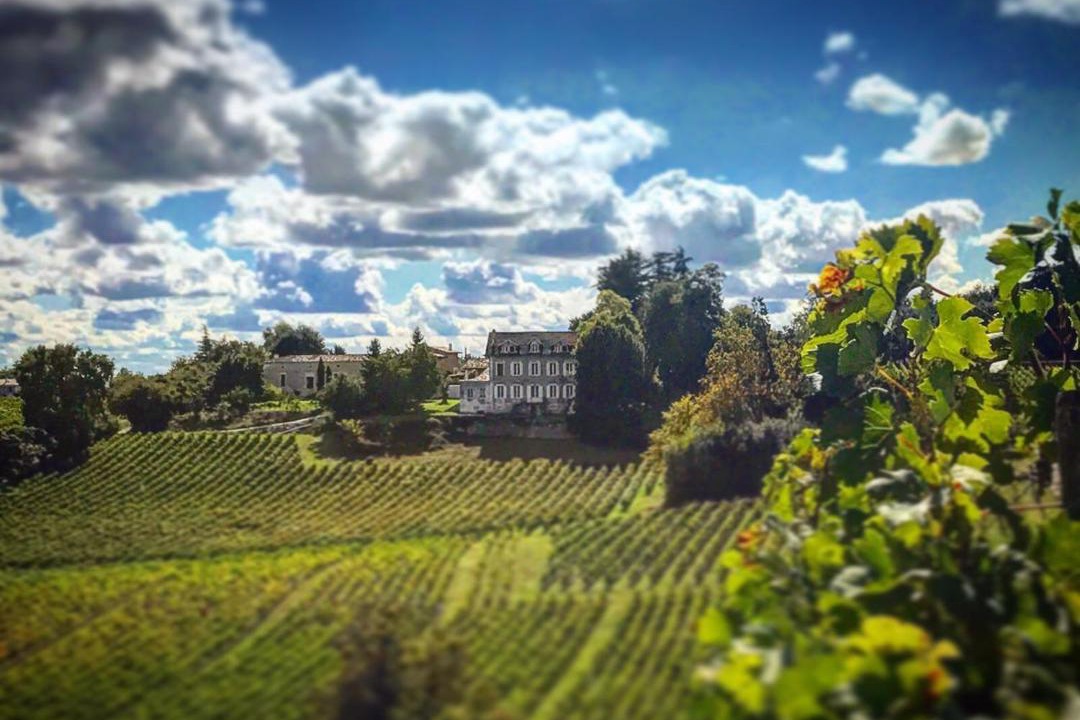 Photo of Others in Fronsac