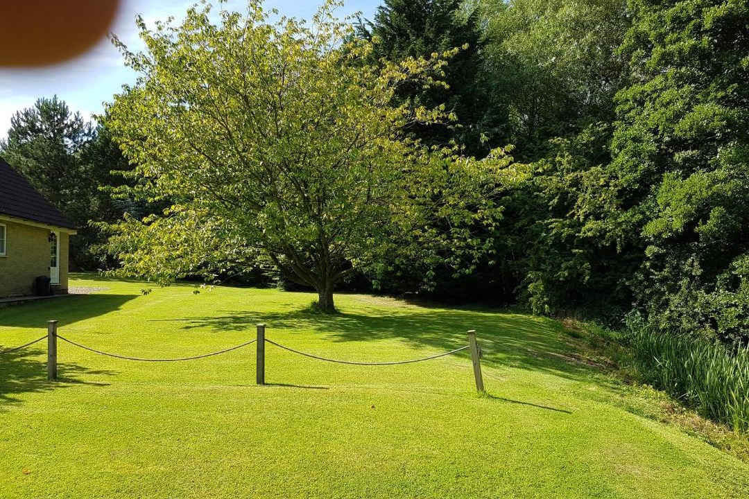 Photo of Others in Low Catton