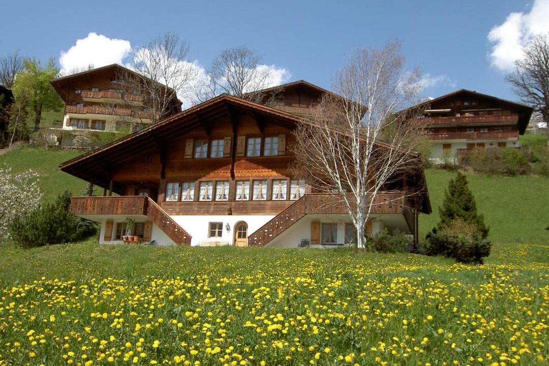 Photo of Others in Grindelwald
