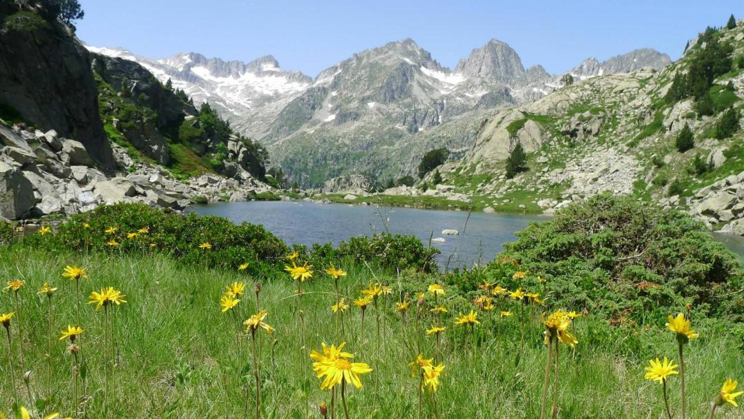 Photo of Others in Taull