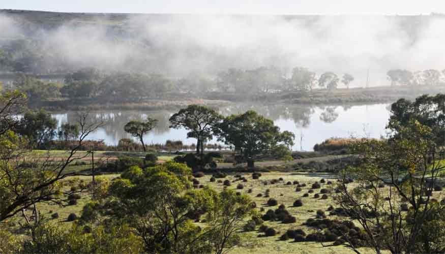 Photo of Others in Cowirra