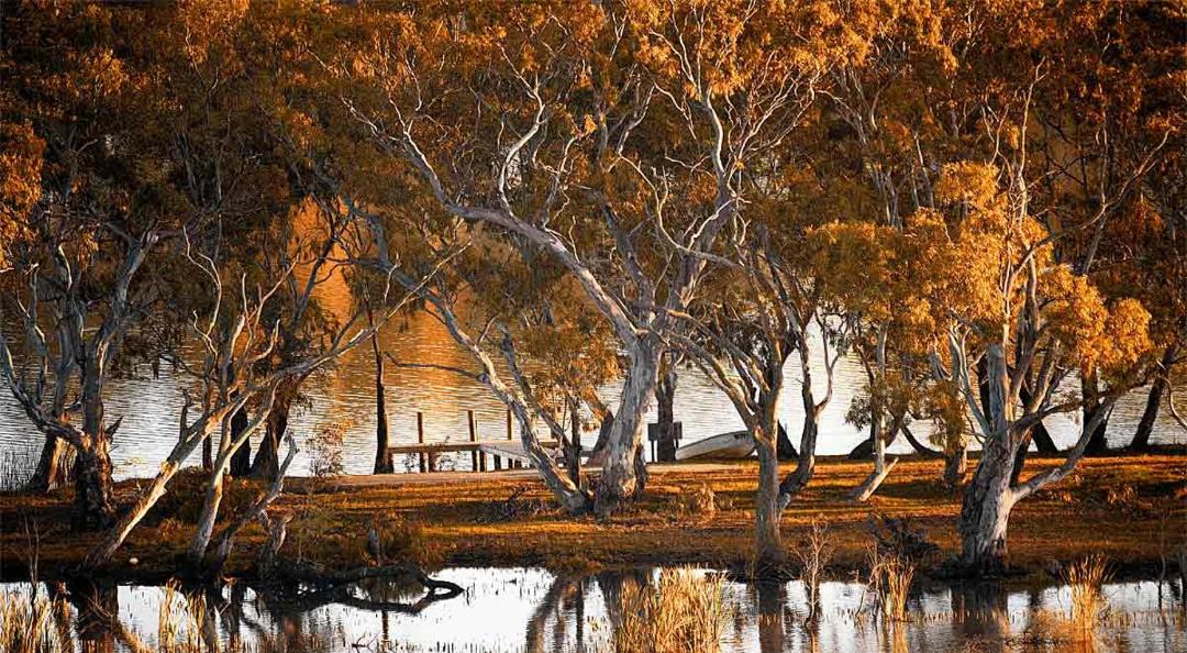 Photo of Others in Cowirra