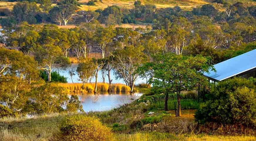 Photo of Others in Cowirra