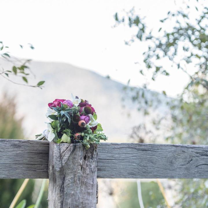 Photo of Others in Macedon