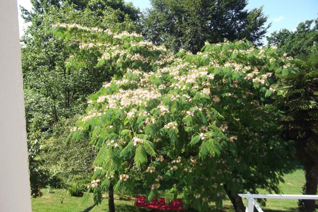 Photo of Others in Plesse