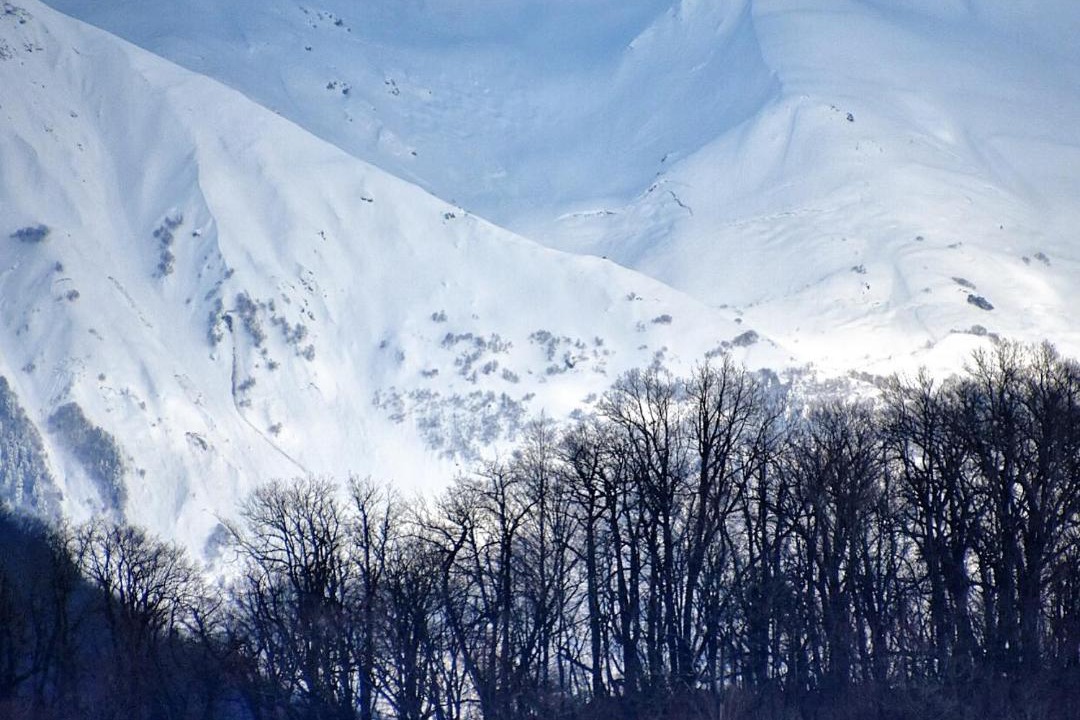 Photo of Outdoor in Gorki Gorod