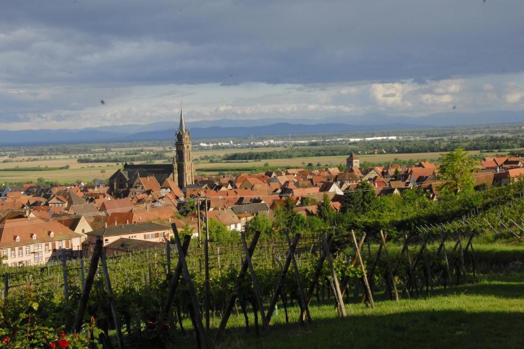 Photo of Outdoor in Dambach-la-Ville