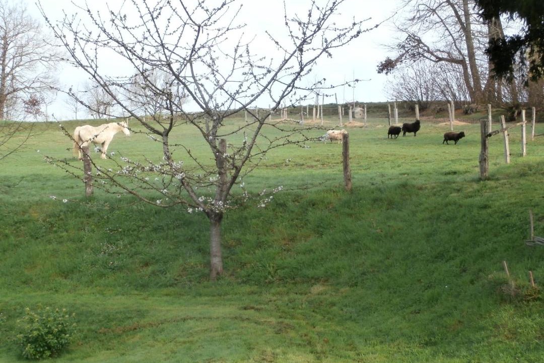 Photo of Others in La Fleche