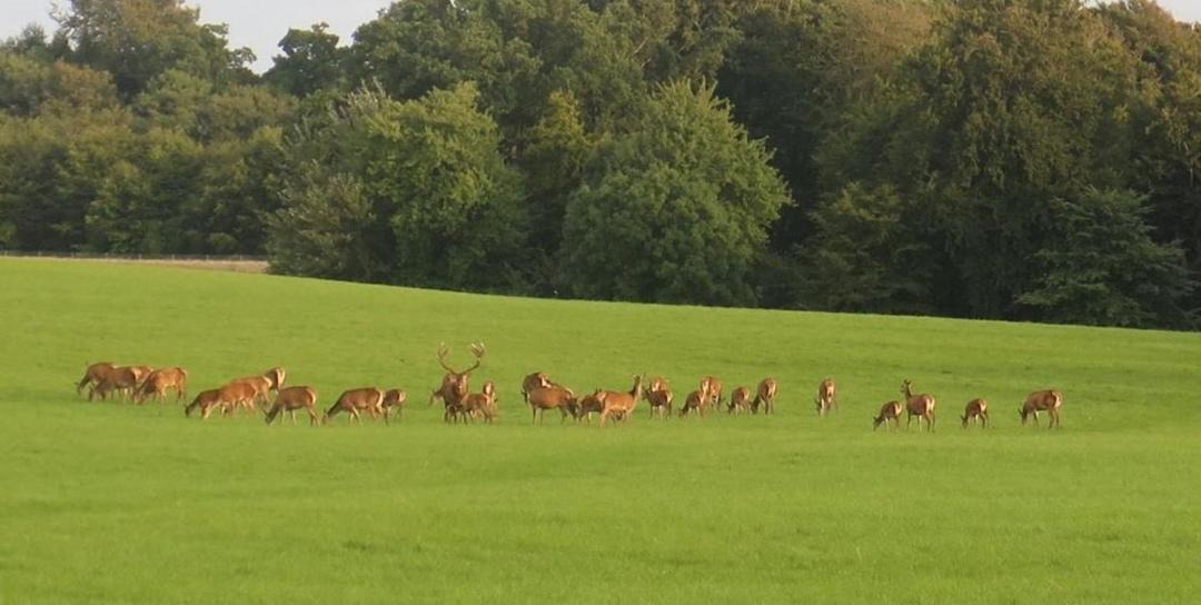 Photo of Others in Middelfart