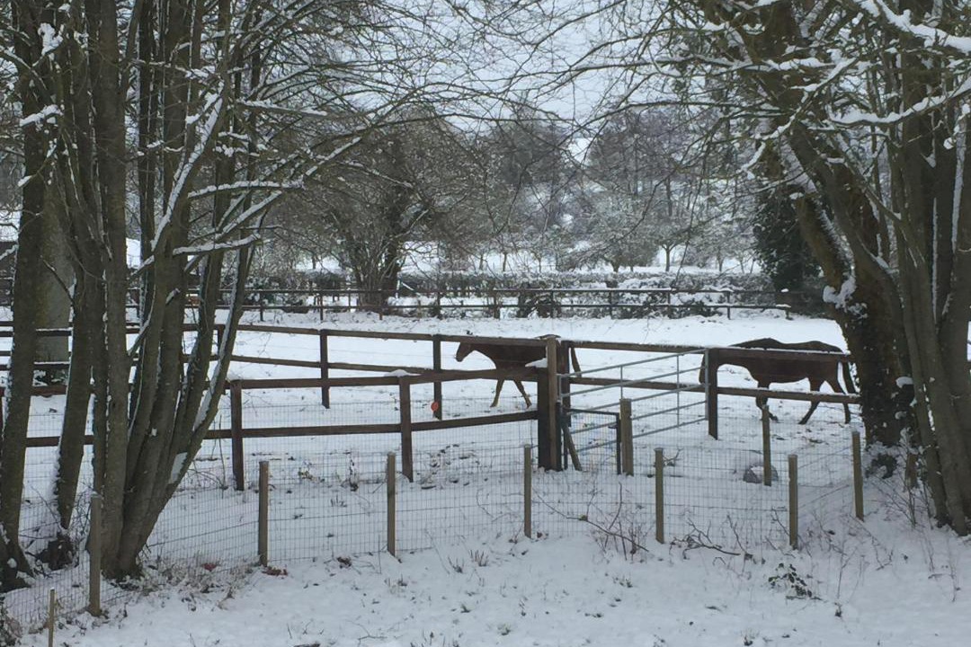 Photo of Others in Goulet